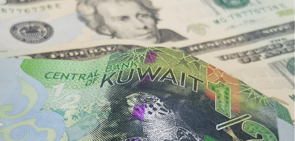 Kuwait news, Kuwait human rights, Kuwait foreign investment, Kuwait business opportunities, Gulf news, Marsha Lazareva, Marsha Lazareva imprisonment, Marsha Lazareva Kuwait, Kuwait FDI